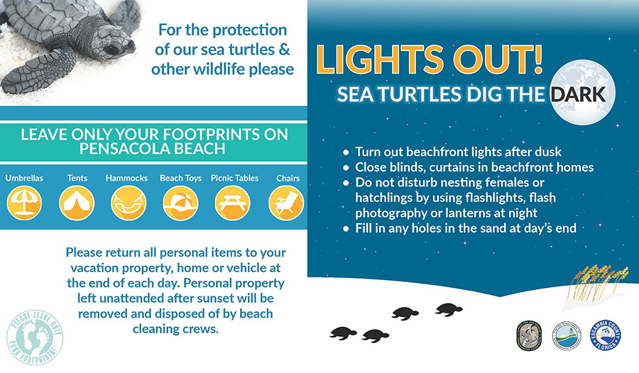 Sea turtle protection message advising visitors to leave no trace on the beach and turn off lights at night.