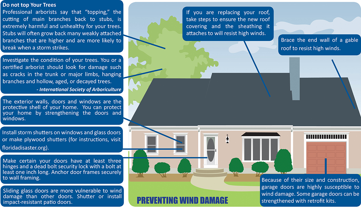 Home wind mitigation infographic showing ways to prevent wind damage to trees, roofs, windows, doors, and garage doors.