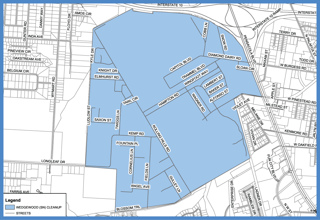 Wedgewood Neighborhood Cleanup