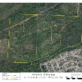 Map of Jones Swamp