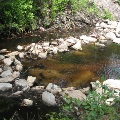 Rock Vein