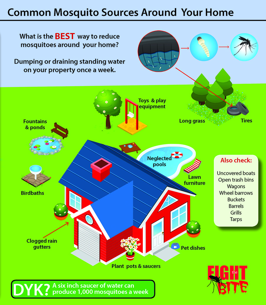 Common mosquito sources around your home including standing water in fountains, ponds, birdbaths, clogged gutters, neglected pools, lawn furniture, toys, long grass, tires, pet dishes, and plant pots and saucers.