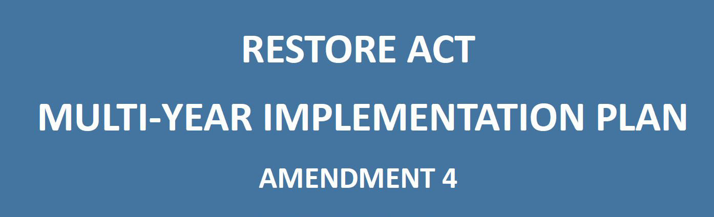 MYIP Amendment 4