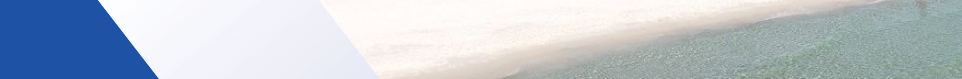 ThinHeader-Sitefinity-nologo-01 (002)